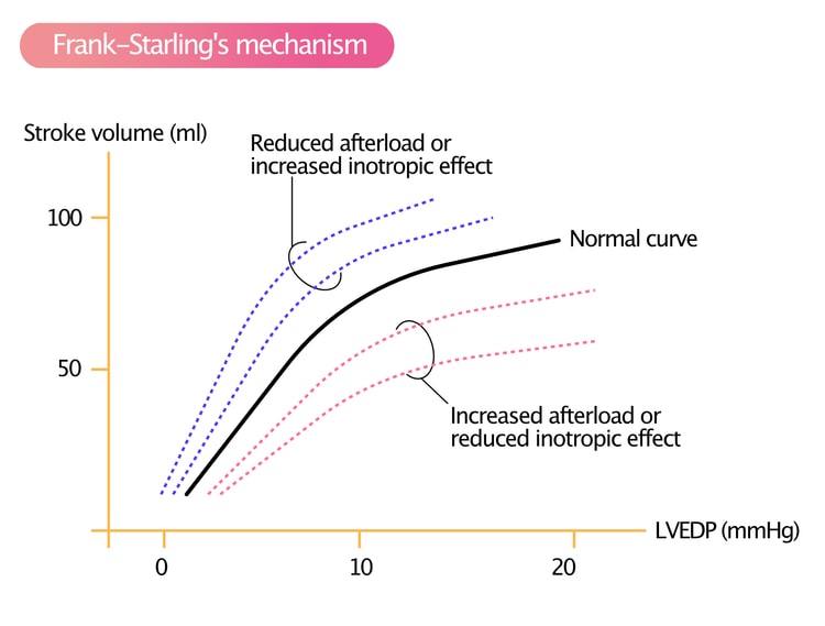 Figure 3. Frank-Starling