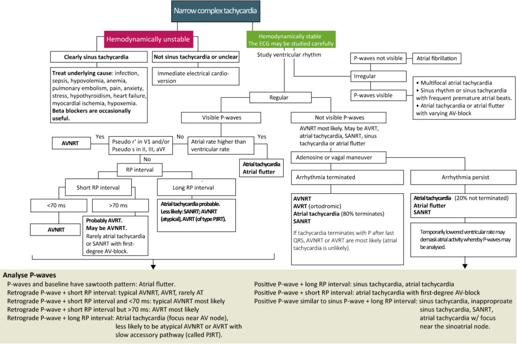 Figure 4. Management and diagnosis of narrow complex tachycardia. Refer to Figure 5 for management of wide complex tachycardia.