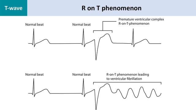 download experimentation validation and uncertainty