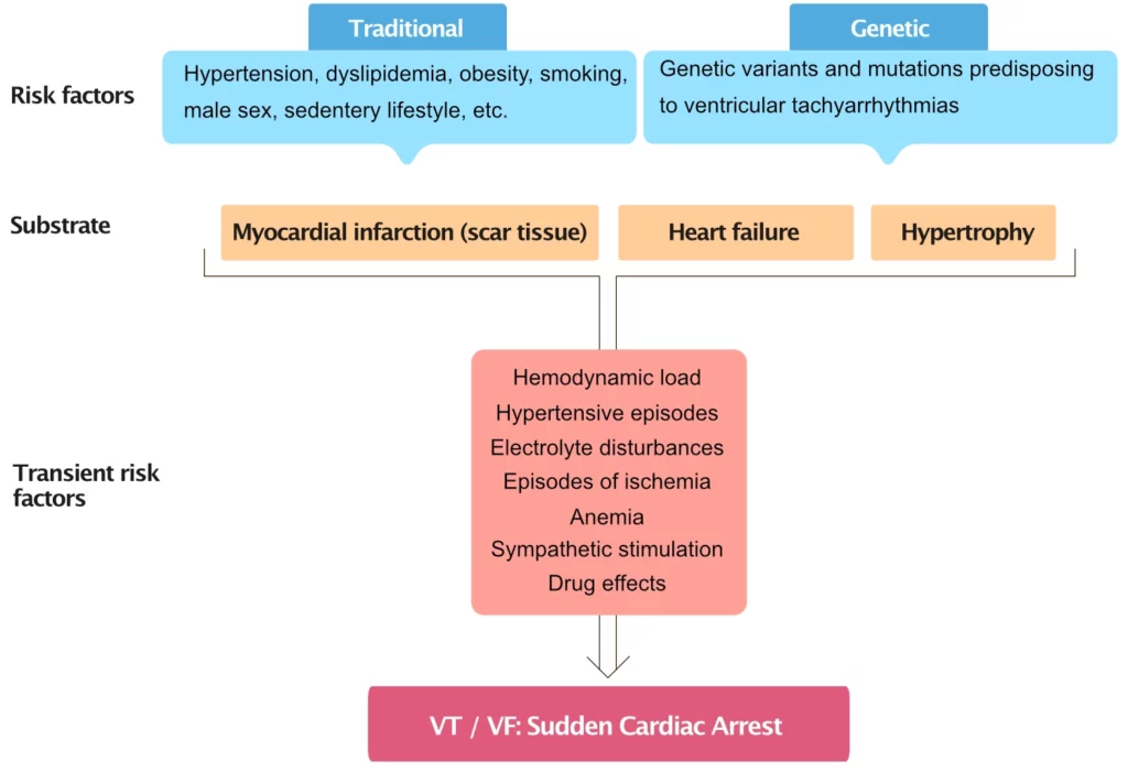 Risk factors for sudden cardiac arrest Cardiovascular Education 